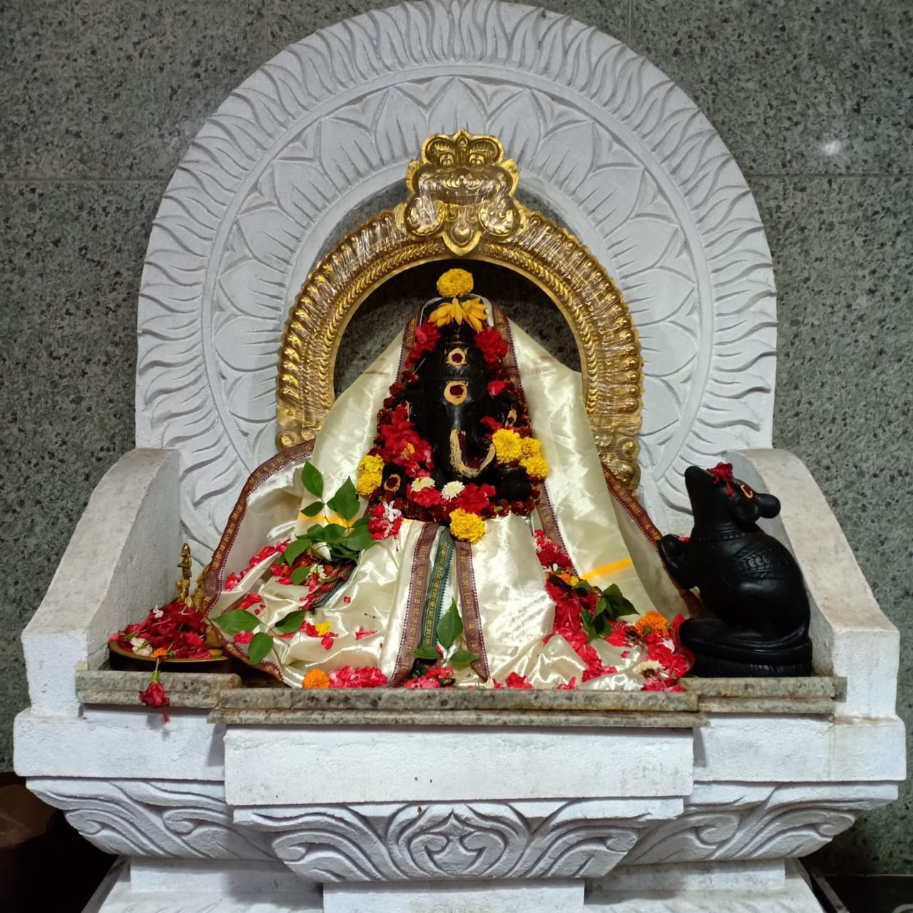 SHREE GANESH 